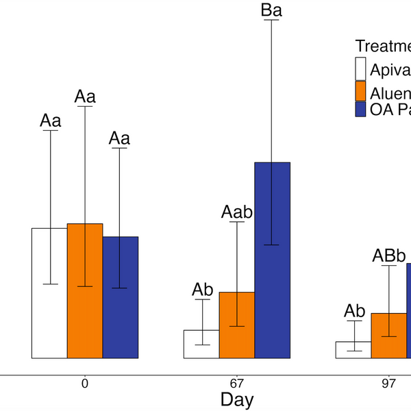The dangers of extended-release oxalic acid over winter