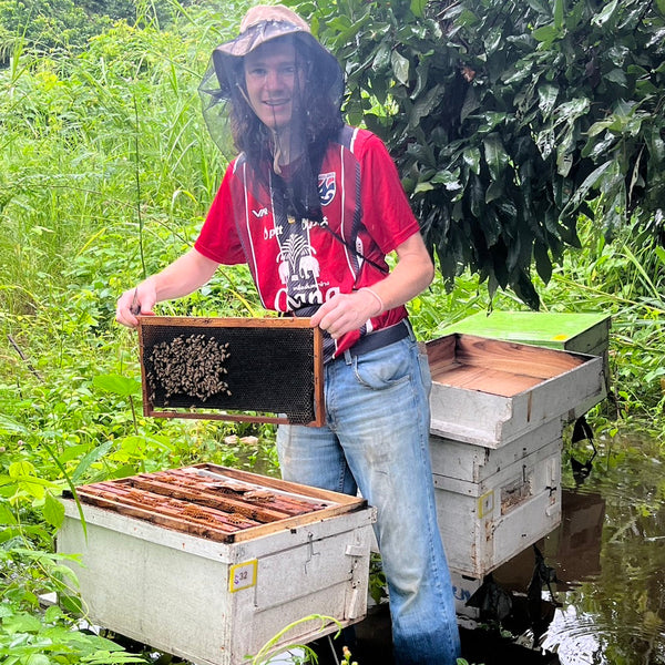 The bees and the bison: An introduction to the new North Dakota State University honey bee research and extension program
